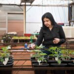 Ce scientifique brésilien a passé 40 ans à développer des bactéries capables de remplacer les engrais de synthèse (pour réguler l'azote)