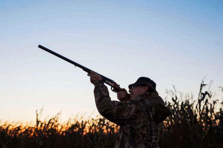 Arrêtez définitivement la grenaille de plomb dans toute l'UE, le Parlement européen donne son feu vert à la restriction de la chasse et du tir sur cible