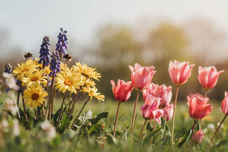 Les abeilles et autres insectes pollinisateurs ne peuvent pas trouver de fleurs à cause de la pollution, encore une autre étude choquante