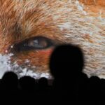 Aimez-vous décrire la nature à travers l’appareil photo ? Postulez à la 30ème édition du Festival du Film du Grand Paradis, vous pouvez gagner jusqu'à 5000 euros