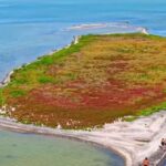 La mer Caspienne rétrécit et maintenant une nouvelle île est apparue (mais ce n'est pas une bonne nouvelle)