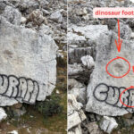 Le rocher avec des empreintes de dinosaures sur les Tre Cime di Lavaredo a été (encore) marqué avec une bombe aérosol : « respectez notre histoire »