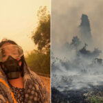 Cela ressemble à l'enfer, mais c'est Bornéo : ciel orange et fumée toxique étouffent l'Indonésie (menaçant la survie des orangs-outans)