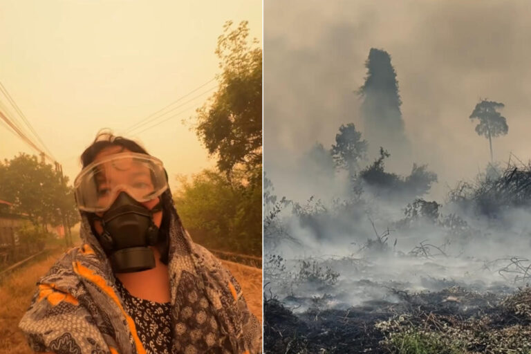 Cela ressemble à l'enfer, mais c'est Bornéo : des incendies dévastateurs étouffent l'Indonésie (menaçant la survie des orangs-outans)