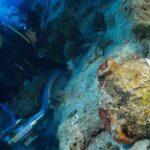 Une épave vieille de 4 500 ans refait surface des fonds marins de Türkiye : elle pourrait être la plus ancienne jamais découverte au monde