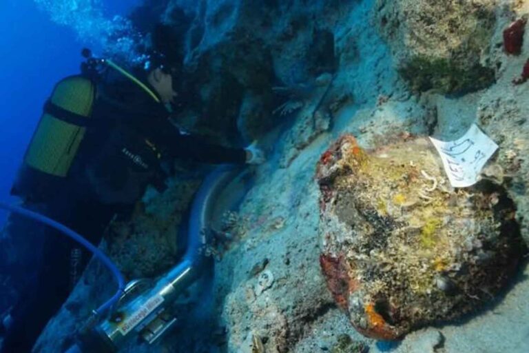 Une épave vieille de 4 500 ans refait surface des fonds marins de Türkiye : elle pourrait être la plus ancienne jamais découverte au monde