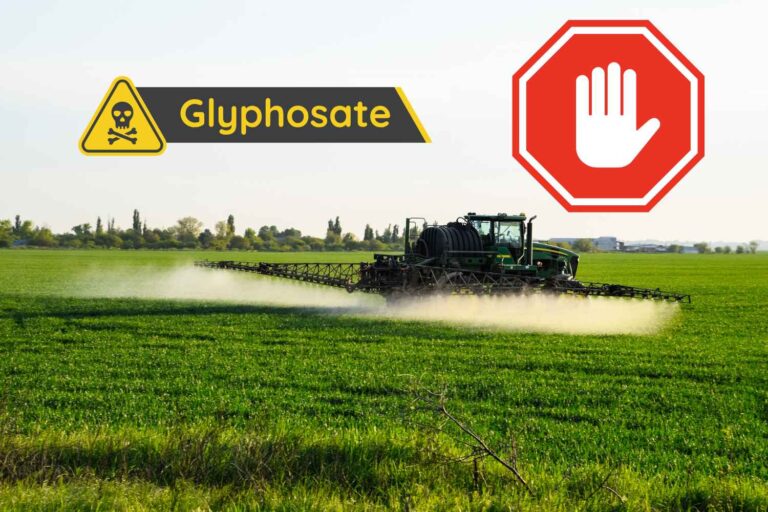Glyphosate, décision historique au Pérou : utilisation dans les cultures vivrières suspendue (également de 4 autres pesticides)