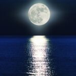 Ne manquons pas le plus beau spectacle d'octobre, la splendide pleine Lune du Chasseur