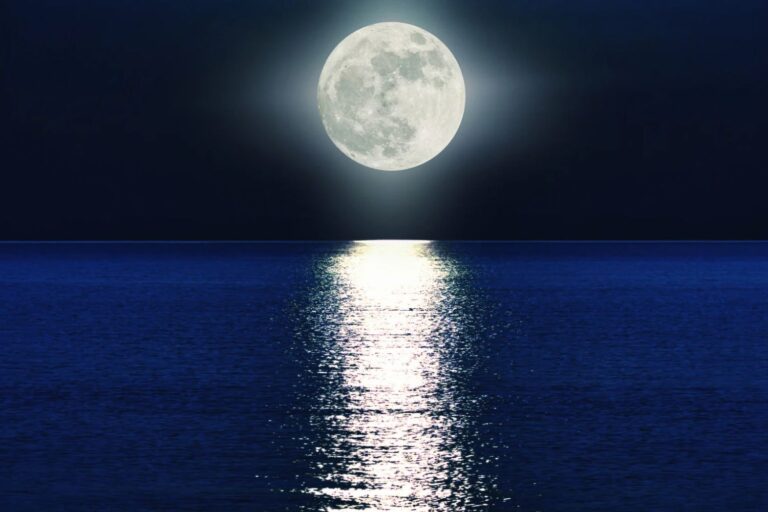 Ne manquons pas le plus beau spectacle d'octobre, la splendide pleine Lune du Chasseur