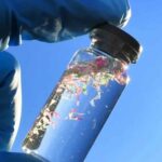 Qu’arrive-t-il aux microplastiques lorsqu’ils finissent dans l’eau ? Les scientifiques découvrent un risque sous-estimé pour la santé