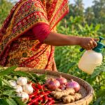 Au Bangladesh, cet agriculteur prépare le pesticide avec du neem et de l'ail : cela réduit les coûts des produits chimiques