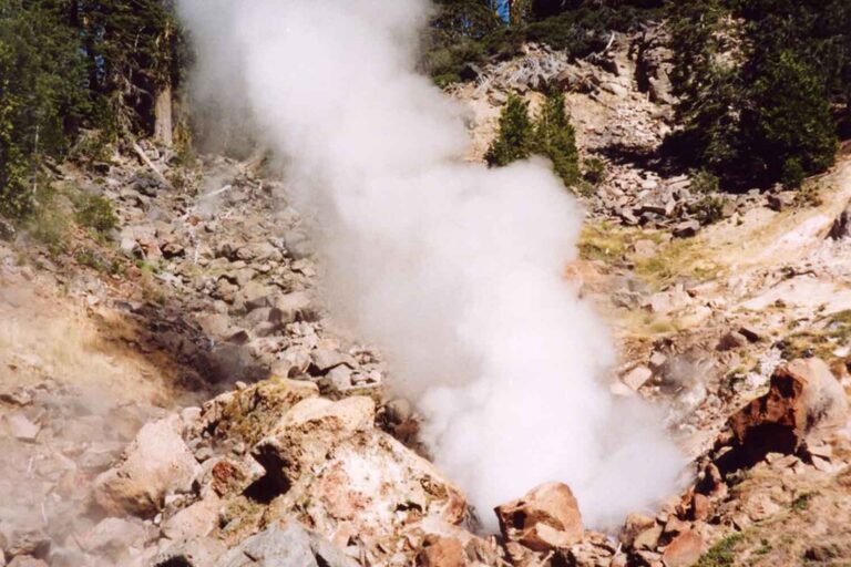 Découverte d'une amibe de feu capable de se reproduire au-dessus de 60°C : l'organisme record qui défie les limites de la vie surprend les scientifiques