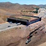 Le plus grand pont faunique au monde est sur le point d'ouvrir : il sauvera des milliers d'animaux (passant sur l'autoroute de Los Angeles)