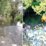 L'Italie remporte la course mondiale des canards en plastique : pour célébrer l'environnement, ils les ont fait concourir dans une rivière