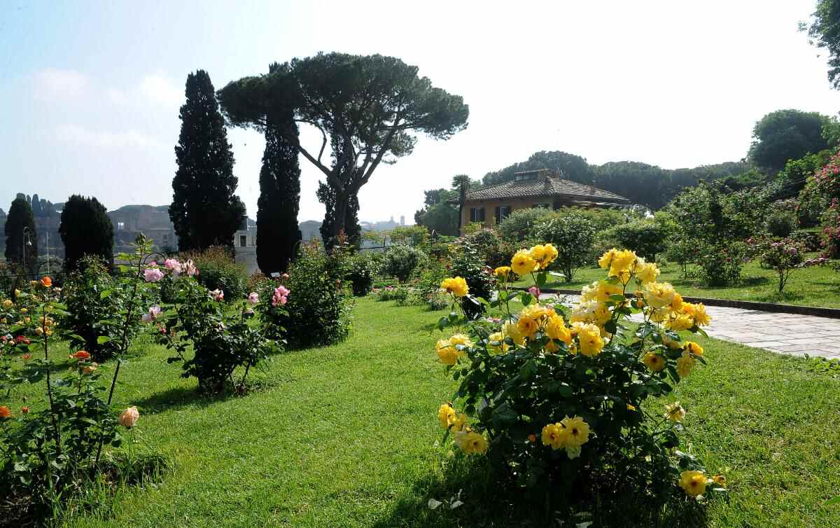 roseraie municipale