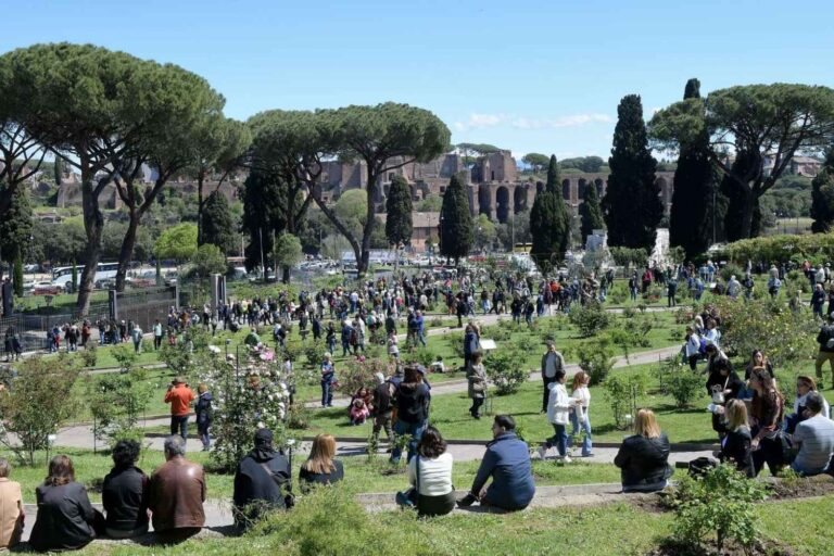 À Rome, vous pouvez admirer la floraison de roses anciennes et rares même en automne : la roseraie municipale a rouvert ses portes (et c'est gratuit)