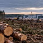 Google a abattu 330 hectares de forêt en Finlande pour construire un centre de données