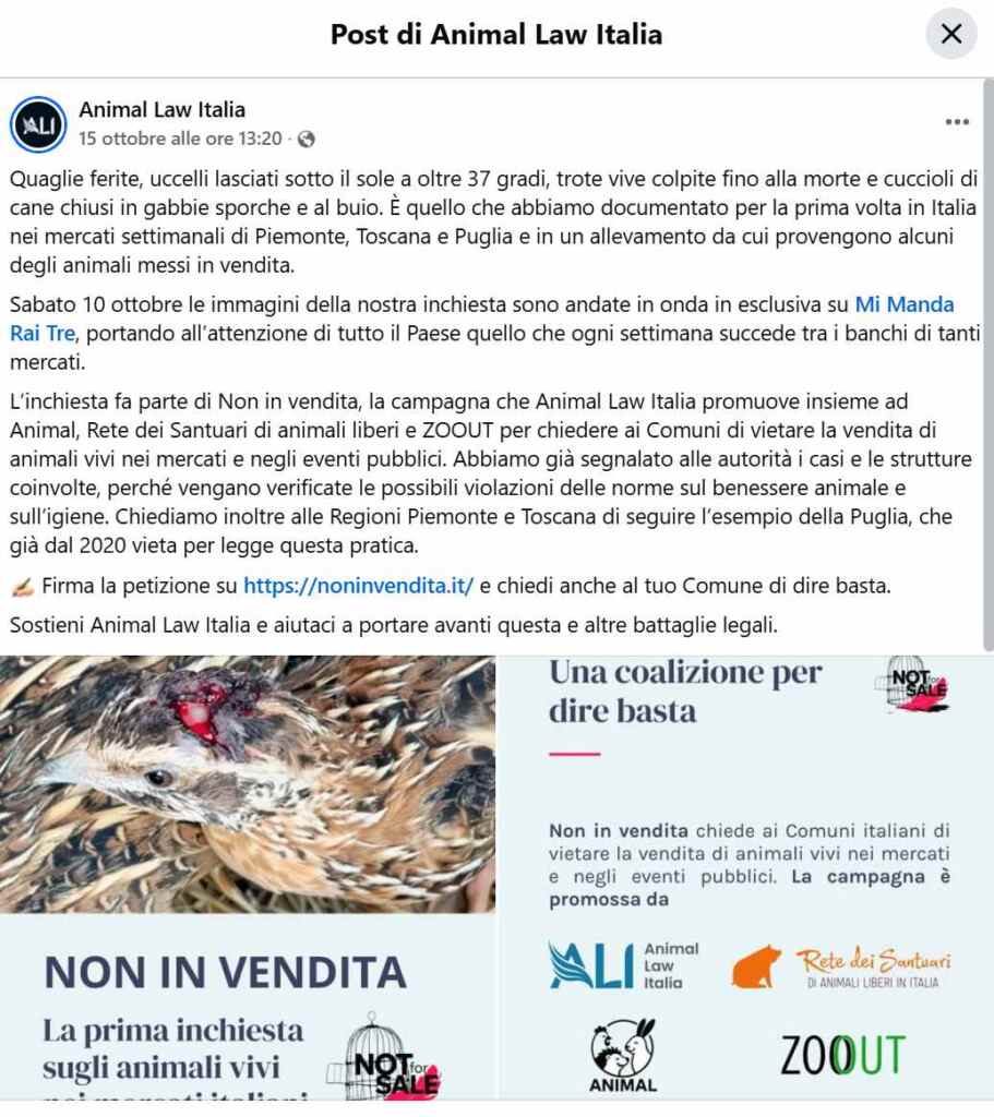Vente d'animaux vivants